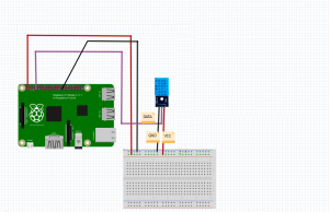 pi-dh11